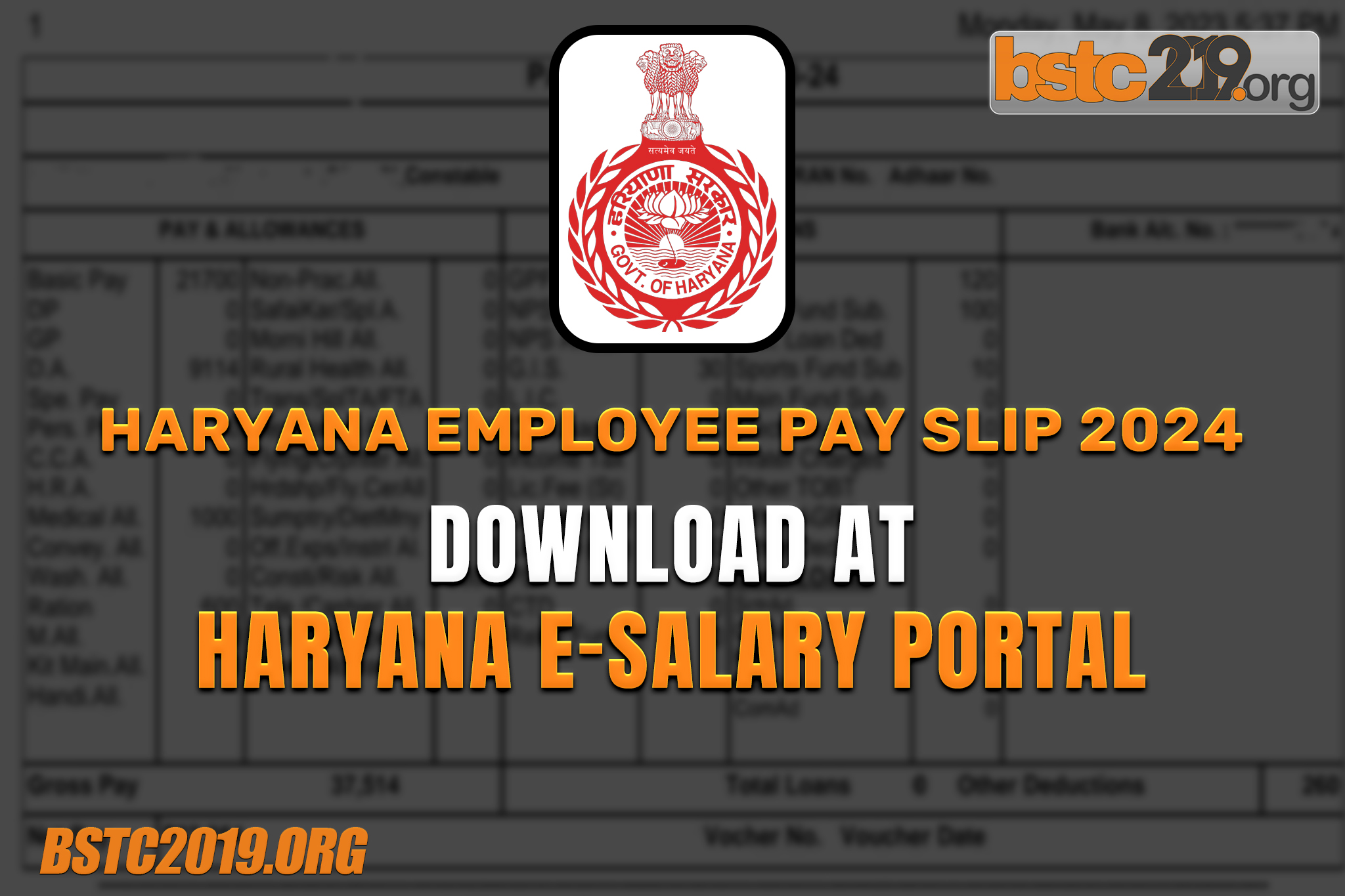 Haryana Employee Pay Slip 2024