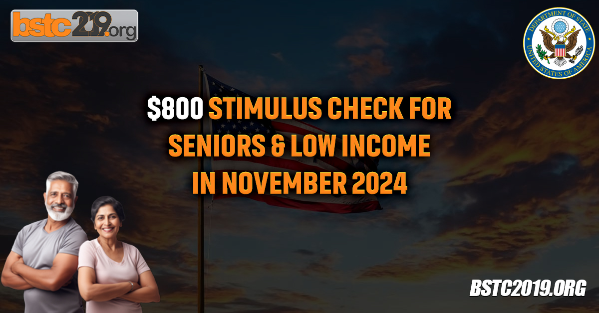 $800 Stimulus Check For Seniors & Low Income In November 2024